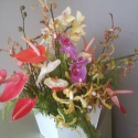floral arrangement F13